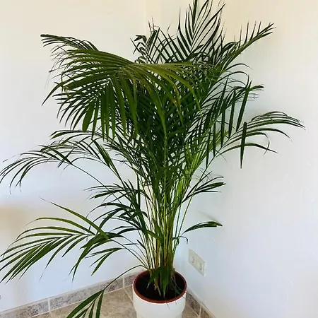 A 20m De La Playa Apartment